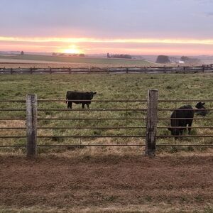 Meet your Posher, Deb